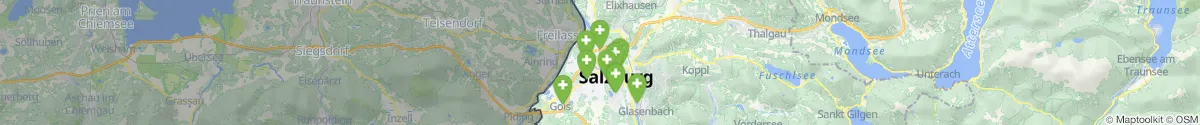 Kartenansicht für Apotheken-Notdienste in der Nähe von Salzburg (Stadt) (Salzburg)